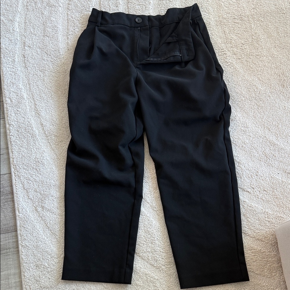 Zara pants